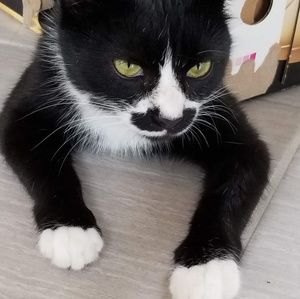 Meet your Posher, Shara